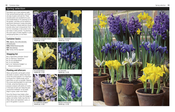 Бумажная книга «RHS The Big Box for Small Gardens» - фото №5 - миниатюра