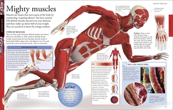 Бумажная книга «The New Children's Encyclopedia. Packed with Thousands of Facts, Stats, and Illustrations» - фото №7 - миниатюра
