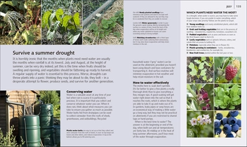 Паперова книга «Allotment Month By Month. Grow your Own Fruit and Vegetables, Know What to do When», автор Алан Букінгем - фото №7 - мініатюра