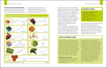 Бумажная книга «Foods to Fight Cancer. What to Eat to Help Beat Cancer», авторов Ричард Беливо, Денис Гинграс - фото №7 - миниатюра