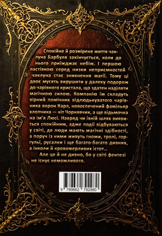 Паперова книга «Магічний шлях. Барбуль», автор Дмитро Буксин - фото №2 - мініатюра