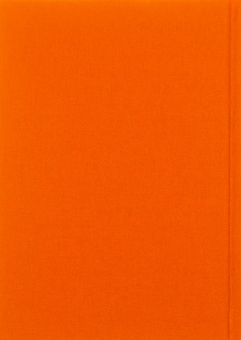Бумажная книга «Зима в Тисмениці», автор Олег Лишега - фото №2 - миниатюра