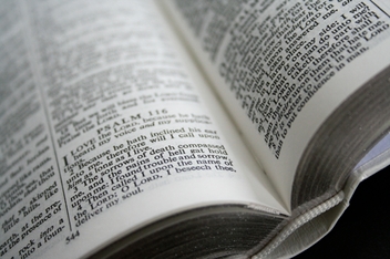 Бумажная книга «Holy Bible» - фото №7 - миниатюра