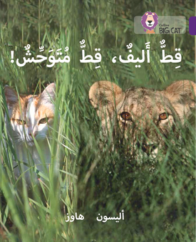 Паперова книга «Tame Cat, Wild Cat: Level 8» - фото №1 - мініатюра