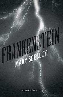 Бумажная книга «Frankenstein», автор Мэри Шелли - фото №1 - миниатюра