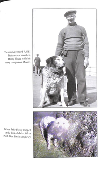 Паперова книга «Saved from the Waves: Animal Rescues of the RNLI» - фото №6 - мініатюра