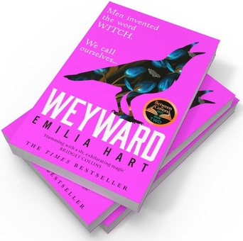 Паперова книга «Weyward», автор Емілія Гарт - фото №2 - мініатюра