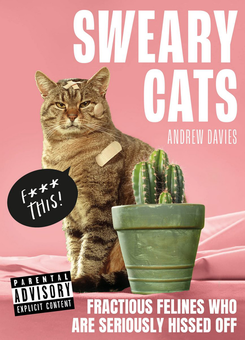 Паперова книга «Sweary Cats», автор Ендрю Девіс - фото №1 - мініатюра