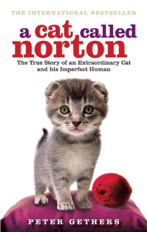 Паперова книга «A Cat Called Norton», автор Пітер Гітерс - фото №1 - мініатюра