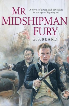 Бумажная книга «Mr Midshipman Fury», автор Дж. С. Бирд - фото №1 - миниатюра