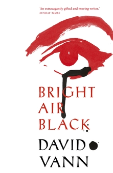 Бумажная книга «Bright Air Black», автор Дэвид Ванн - фото №1 - миниатюра