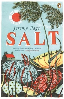Паперова книга «Salt», автор Джеремі Пейдж - фото №1 - мініатюра