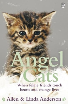 Бумажная книга «Angel Cats», авторов Аллен Андерсон, Линда Андерсон - фото №1 - миниатюра