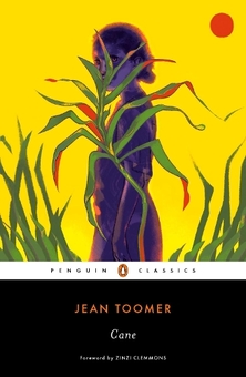 Паперова книга «Cane» - фото №1 - мініатюра