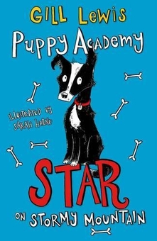 Бумажная книга «Puppy Academy. Star on Stormy Mountain », автор Джилл Льюис - фото №1 - миниатюра