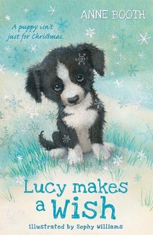 Паперова книга «Lucy Makes a Wish», автор Анна Бут - фото №1 - мініатюра
