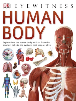 Паперова книга «Human Body», автор Річард Уолкер - фото №1 - мініатюра