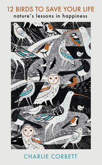 Бумажная книга «12 Birds to Save Your Life», автор Чарли Корбетт - фото №1 - миниатюра