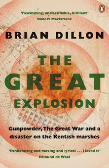 Паперова книга «The Great Explosion», автор Брайан Діллон - фото №1 - мініатюра