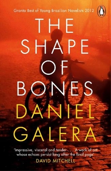 Паперова книга «The Shape of Bones», автор Даніел Галера - фото №1 - мініатюра