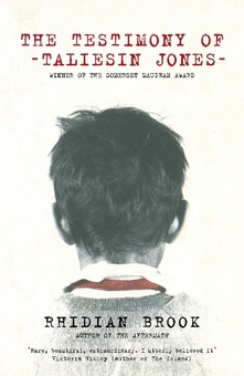 Бумажная книга «The Testimony of Taliesin Jones», автор Ридиан Брук - фото №1 - миниатюра