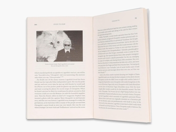 Паперова книга «Karl Lagerfeld: A Life in Fashion», автор Альфонс Кайзер - фото №5 - мініатюра