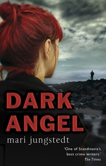 Бумажная книга «Dark Angel» - фото №1 - миниатюра