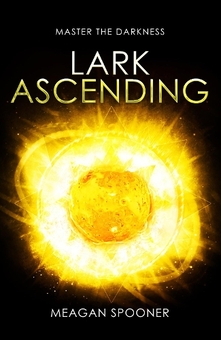 Бумажная книга «Lark Ascending» - фото №1 - миниатюра