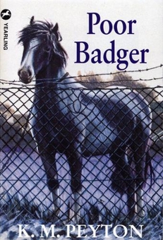 Бумажная книга «Poor Badger», автор Кэтлин Геральд - фото №1 - миниатюра