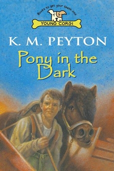 Паперова книга «Pony In The Dark», автор К. М. Пейтон - фото №1 - мініатюра