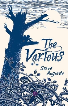 Паперова книга «The Various», автор Стів Огард - фото №1 - мініатюра