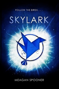 Бумажная книга «Skylark», автор Меган Спунер - фото №1 - миниатюра
