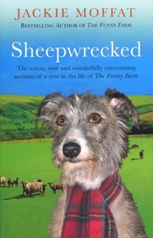 Паперова книга «Sheepwrecked» - фото №1 - мініатюра