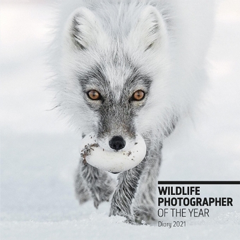 Бумажная книга «Wildlife Photographer of the Year Desk Diary 2021» - фото №1 - миниатюра