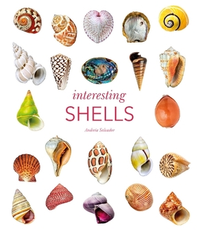 Бумажная книга «Interesting Shells», автор Андрея Сальвадор - фото №1 - миниатюра