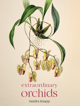 Бумажная книга «Extraordinary Orchids», автор Сандра Кнапп - фото №1 - миниатюра