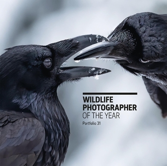 Бумажная книга «Wildlife Photographer of the Year. Portfolio 31 », автор Розамунд Кидман Кокс - фото №1 - миниатюра