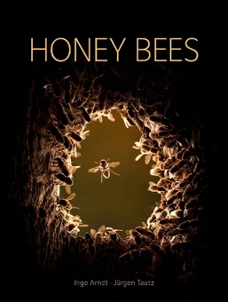 Бумажная книга «Honey Bees », автор Юрген Таутц - фото №1 - миниатюра