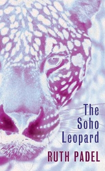 Бумажная книга «Soho Leopard» - фото №1 - миниатюра