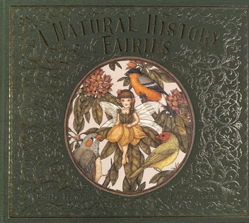 Паперова книга «Natural History of Fairies», автор Емілі Хокінс - фото №2 - мініатюра