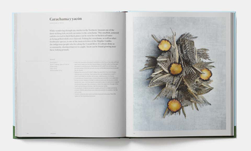 Бумажная книга «The Chef Collection» - фото №6 - миниатюра