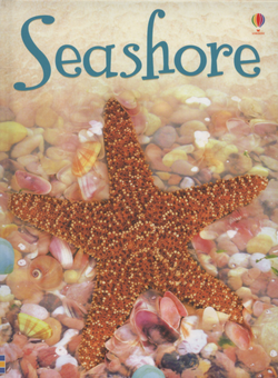 Бумажная книга «Seashore», автор Люси Боумэн - фото №1 - миниатюра