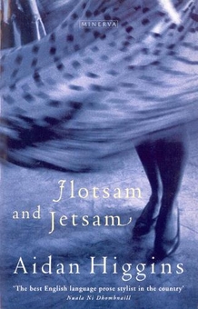 Бумажная книга «Flotsam And Jetsam», автор Эйдан Хиггинс - фото №1 - миниатюра