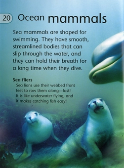 Бумажная книга «Discover Science: Oceans and Seas», авторов Белинда Вэбер, Никола Дэвис - фото №3 - миниатюра