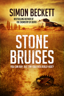 Бумажная книга «Stone Bruises», автор Саймон Бекетт - фото №1 - миниатюра