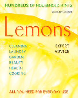 Бумажная книга «Lemons Flexi» - фото №2 - миниатюра