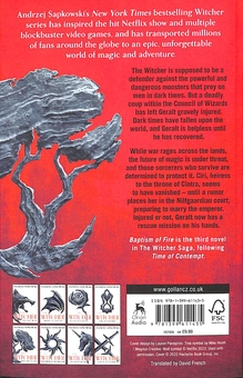 Бумажная книга «The Witcher (комплект із 8 книг)», автор Анджей Сапковский - фото №15 - миниатюра