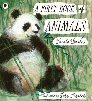 Бумажная книга «A First Book of Animals», автор Никола Дэвис - фото №2 - миниатюра