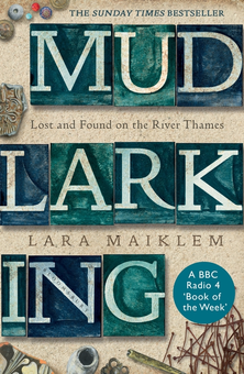 Паперова книга «Mudlarking», автор Лара Майклем - фото №1 - мініатюра