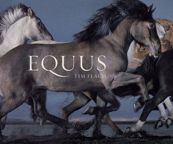 Бумажная книга «Equus (Mini)», автор Тим Флэк - фото №1 - миниатюра